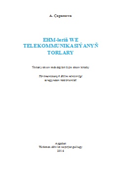 EHM-leriň we telekommunikasiýanyň torlary